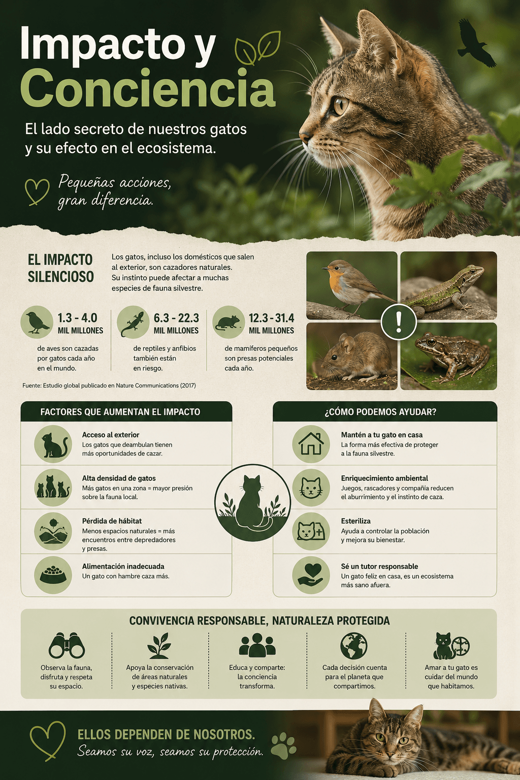 Impacto y Conciencia